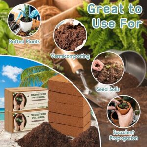 100% Organic Coconut Coir for Plants 1 KG  ✨